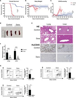 Daratumumab Prevents Experimental Xenogeneic Graft-Versus-Host Disease by Skewing Proportions of T Cell Functional Subsets and Inhibiting T Cell Activation and Migration
